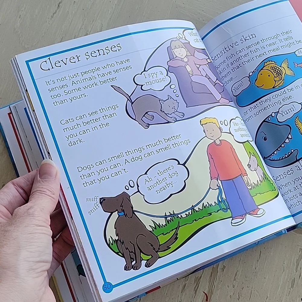 The Usborne Flip-Flap Body Book - Picture 8 of 11